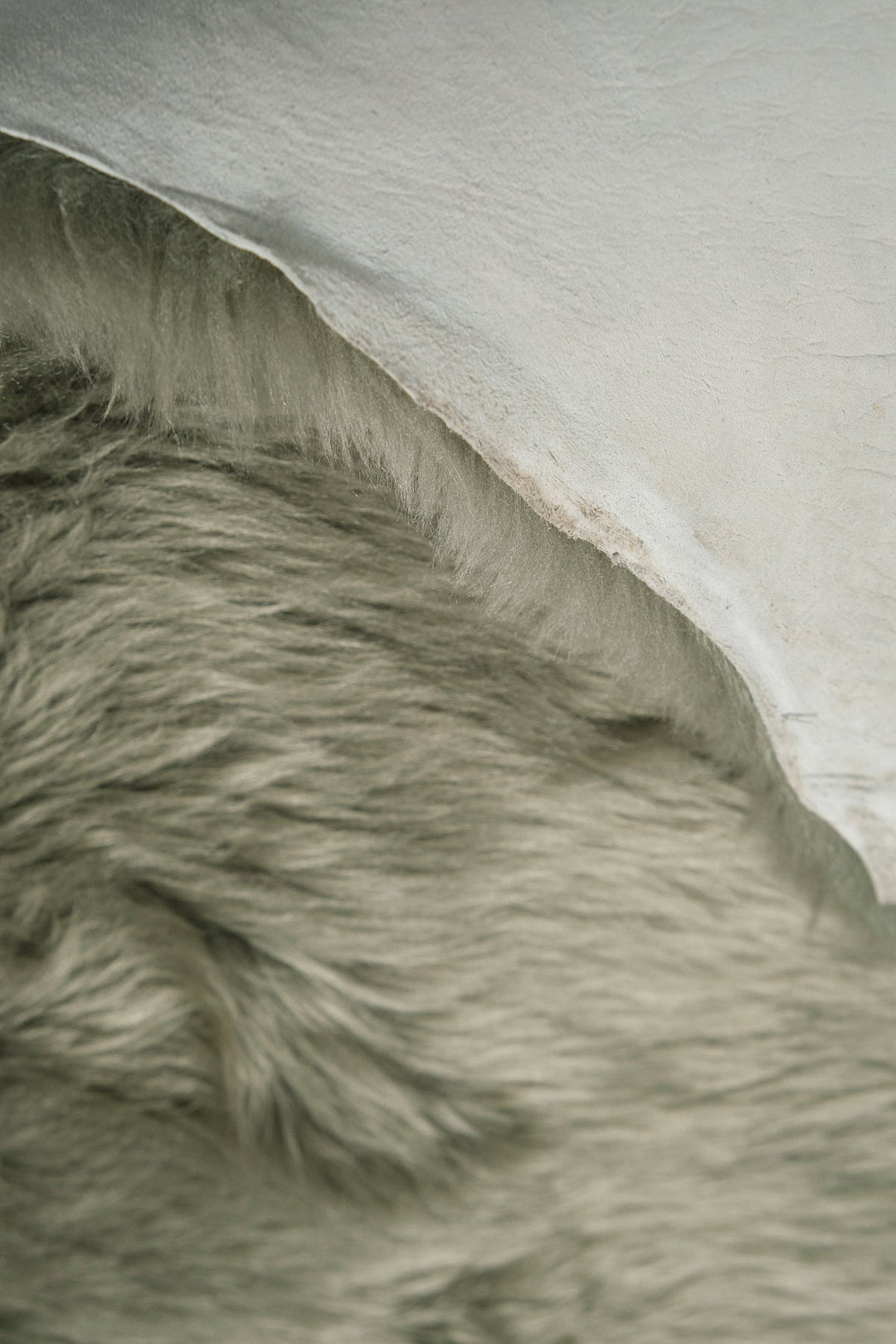 Light green sheepskin rug close-up