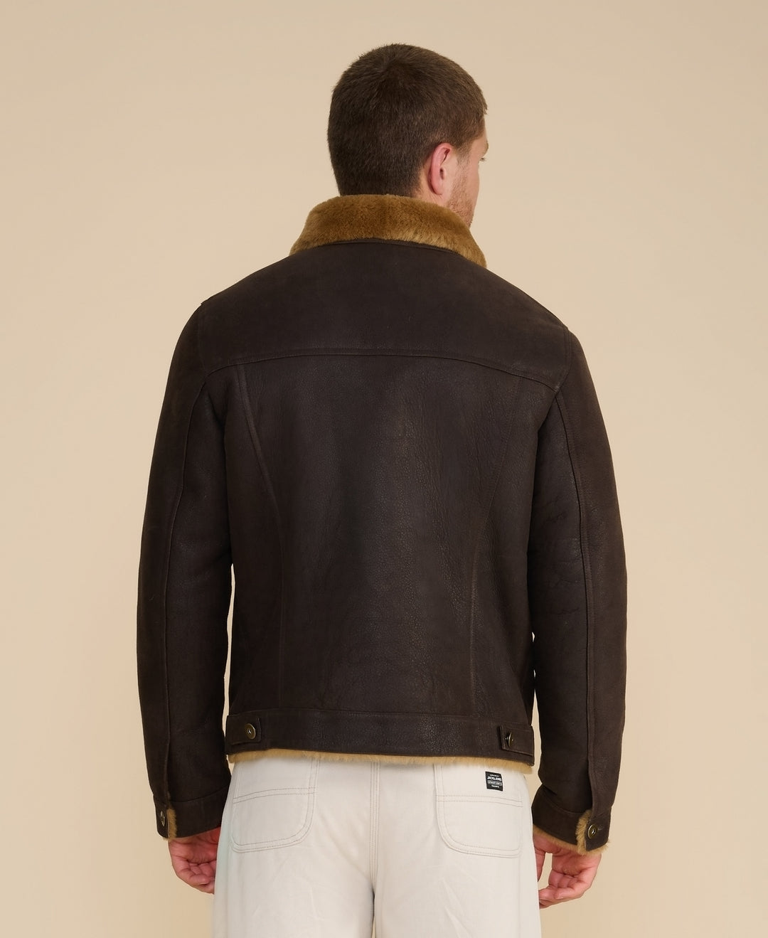 Men's dark brown shearling jacket - back view