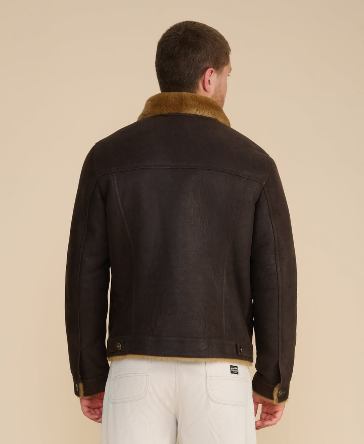 Men's dark brown shearling jacket - back view