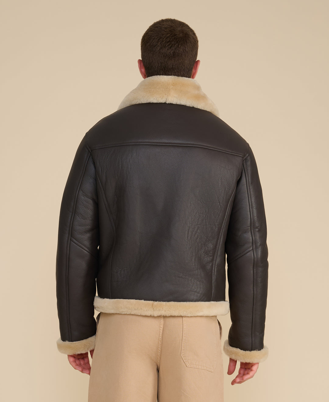 Hudson men's brown leather shearling jacket back view